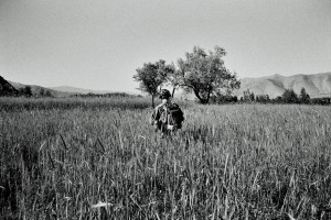 Jalrez Wardak Afghanistan Patrol Guilt