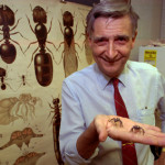 E.O. Wilson