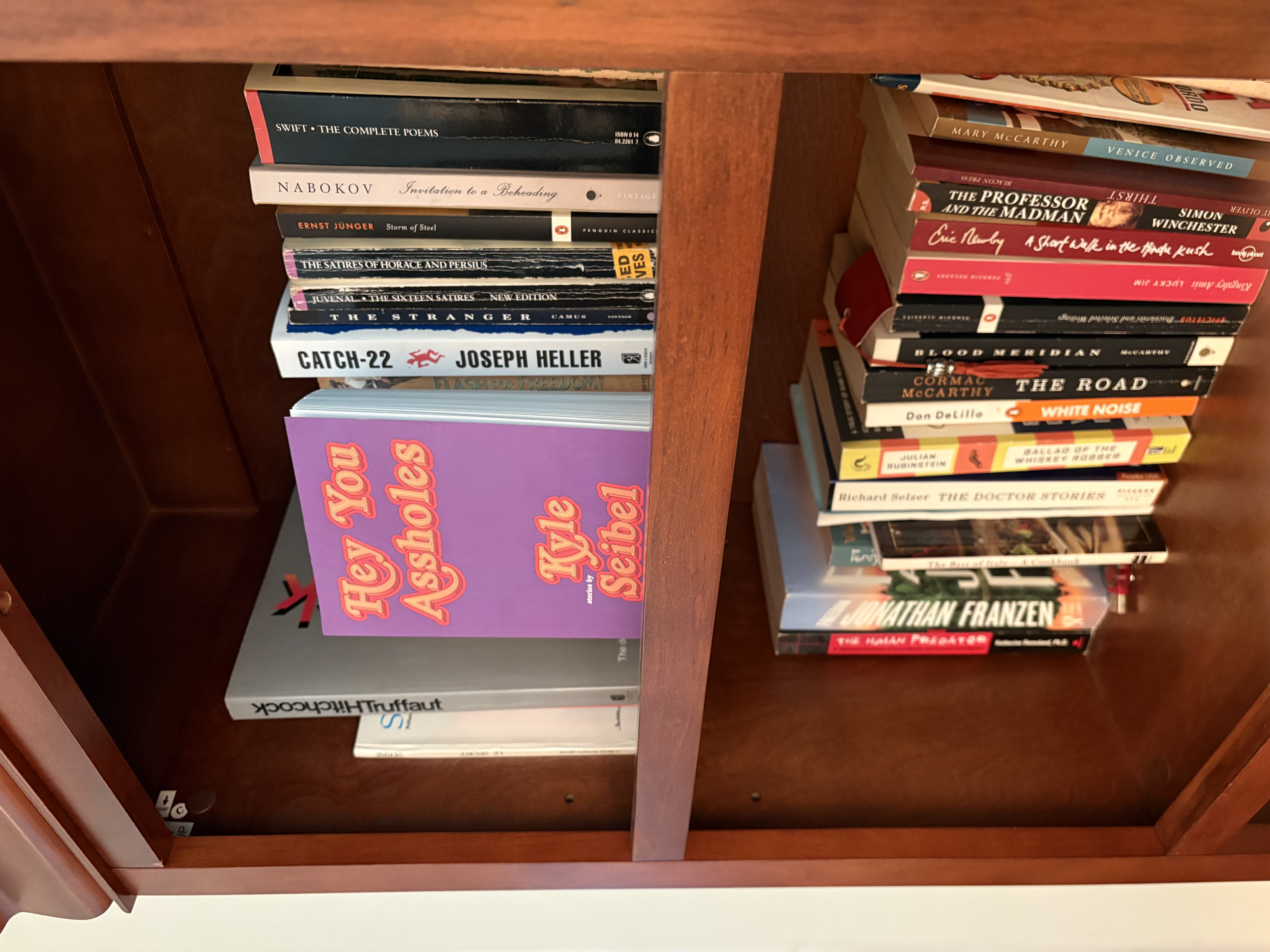 Photo of Kyle Seibel's "Hey You Assholes" on reviewer's book shelf